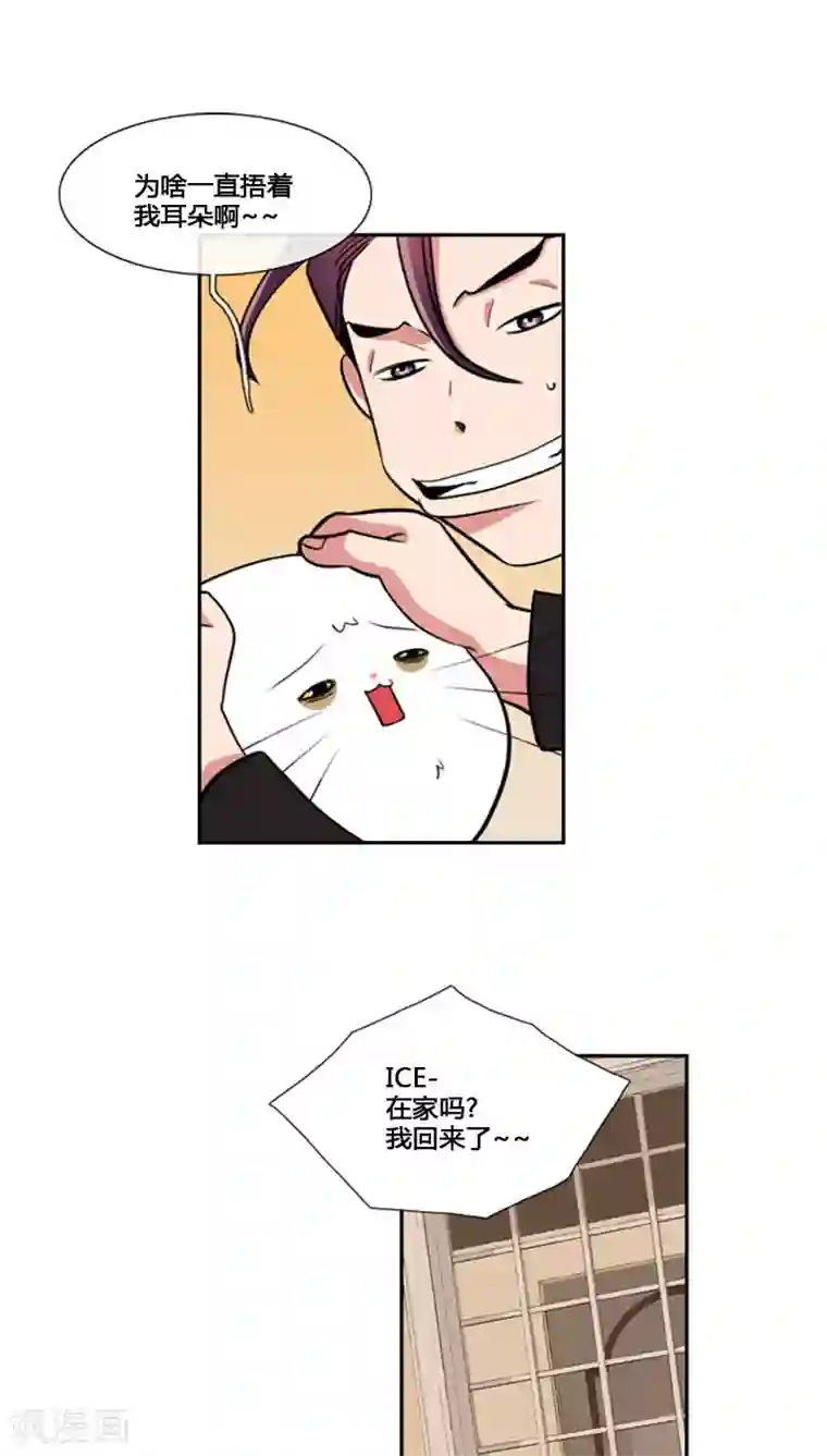 ICE-Cold要员的捡猫事件第80话