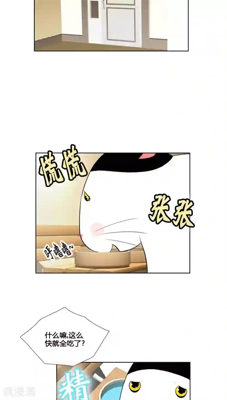 ICE-Cold要员的捡猫事件第81话