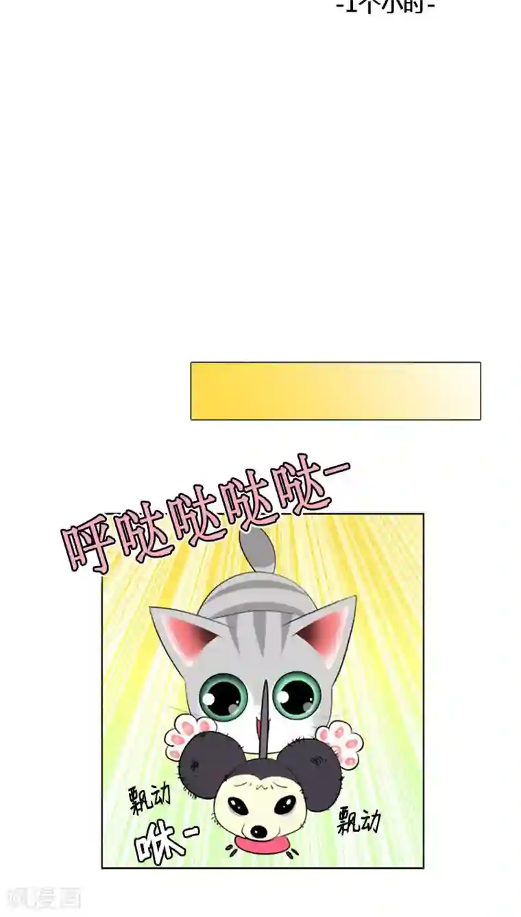 ICE-Cold要员的捡猫事件第81话