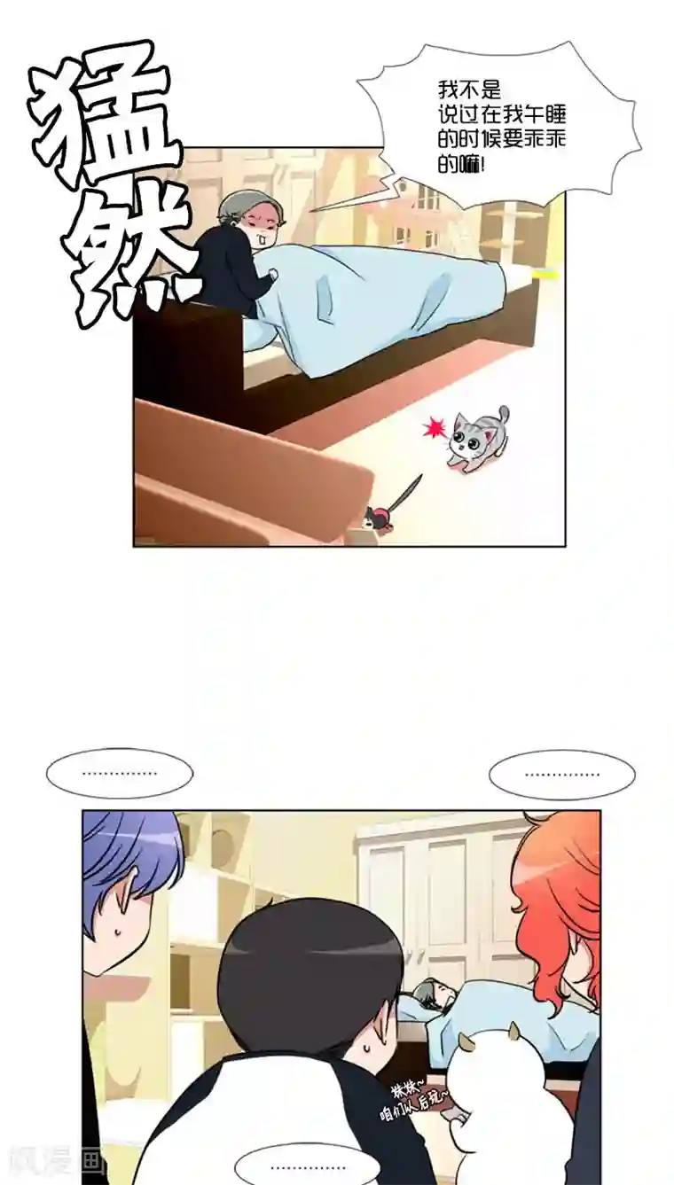 ICE-Cold要员的捡猫事件第81话