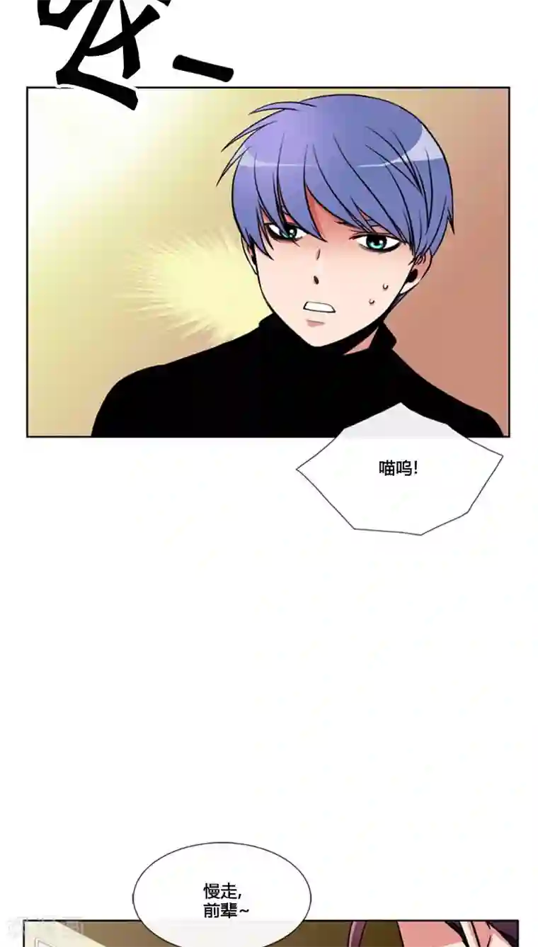 ICE-Cold要员的捡猫事件第81话