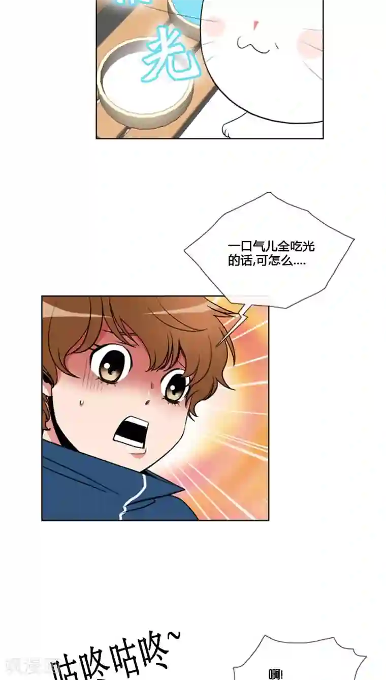 ICE-Cold要员的捡猫事件第81话