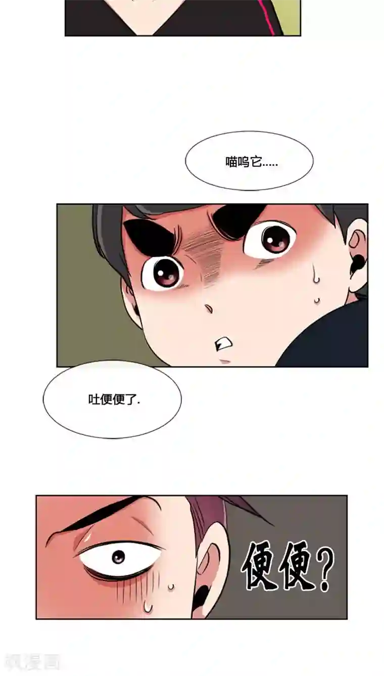 ICE-Cold要员的捡猫事件第81话