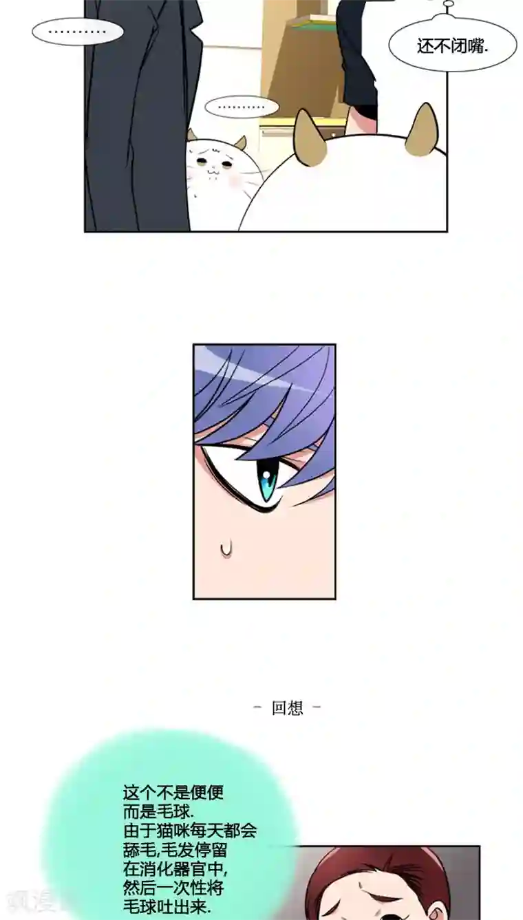 ICE-Cold要员的捡猫事件第81话