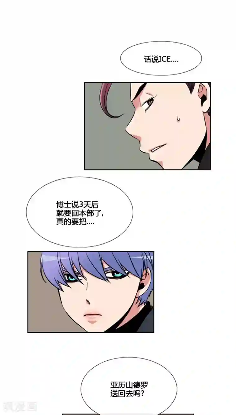 ICE-Cold要员的捡猫事件第81话