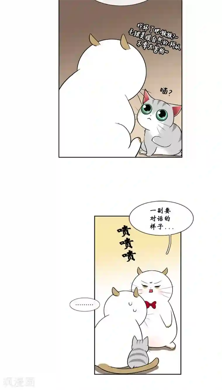 ICE-Cold要员的捡猫事件第81话