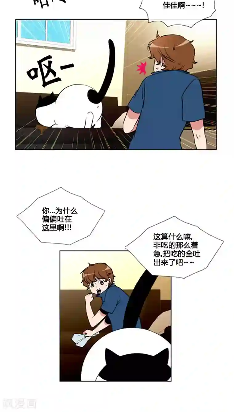 ICE-Cold要员的捡猫事件第81话