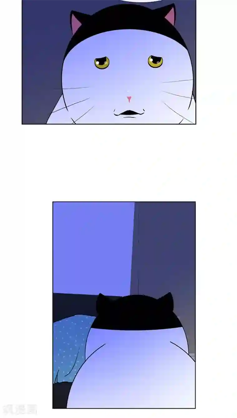 ICE-Cold要员的捡猫事件第81话