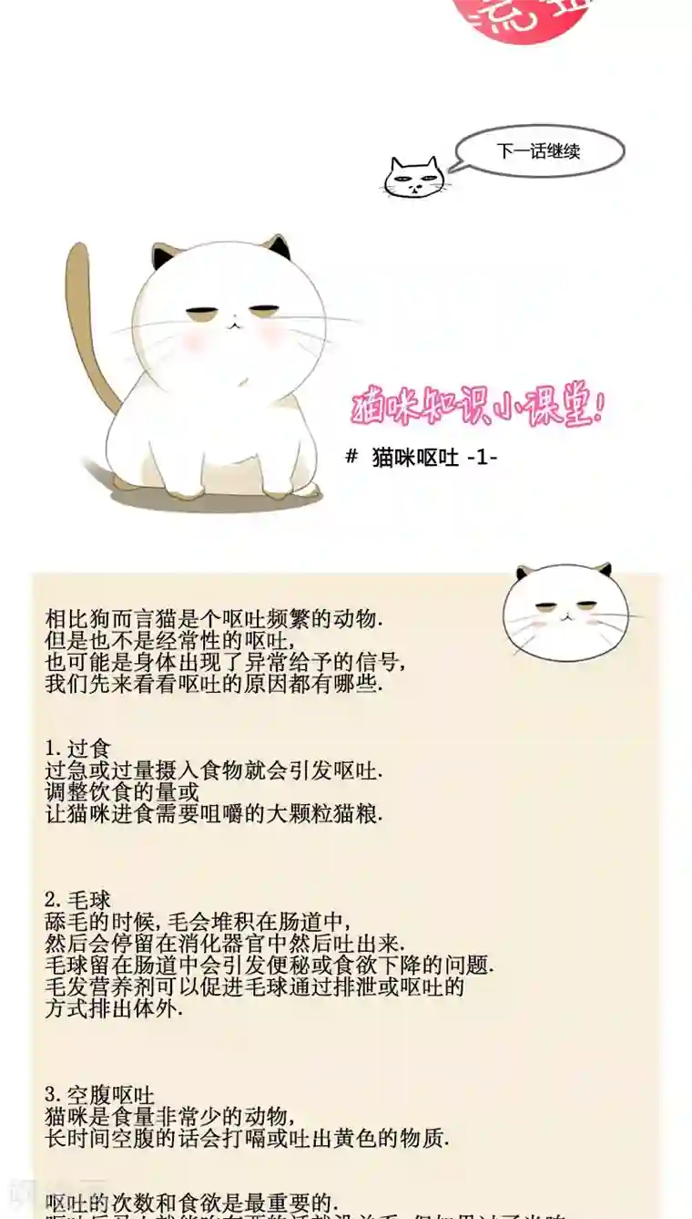 ICE-Cold要员的捡猫事件第81话