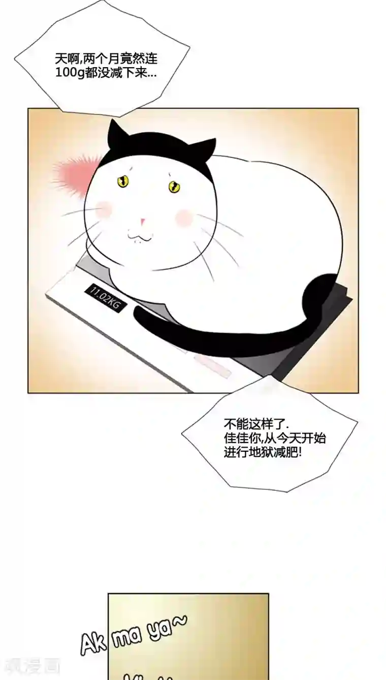 ICE-Cold要员的捡猫事件第81话