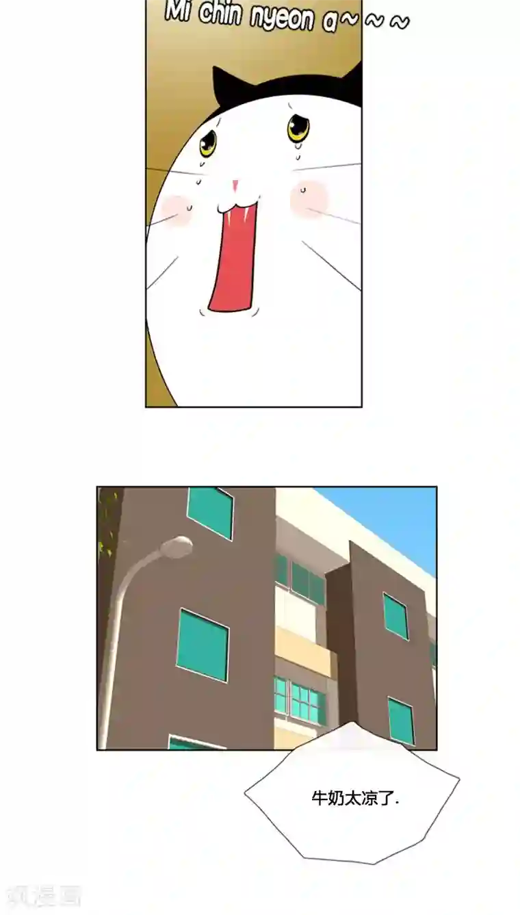 ICE-Cold要员的捡猫事件第81话