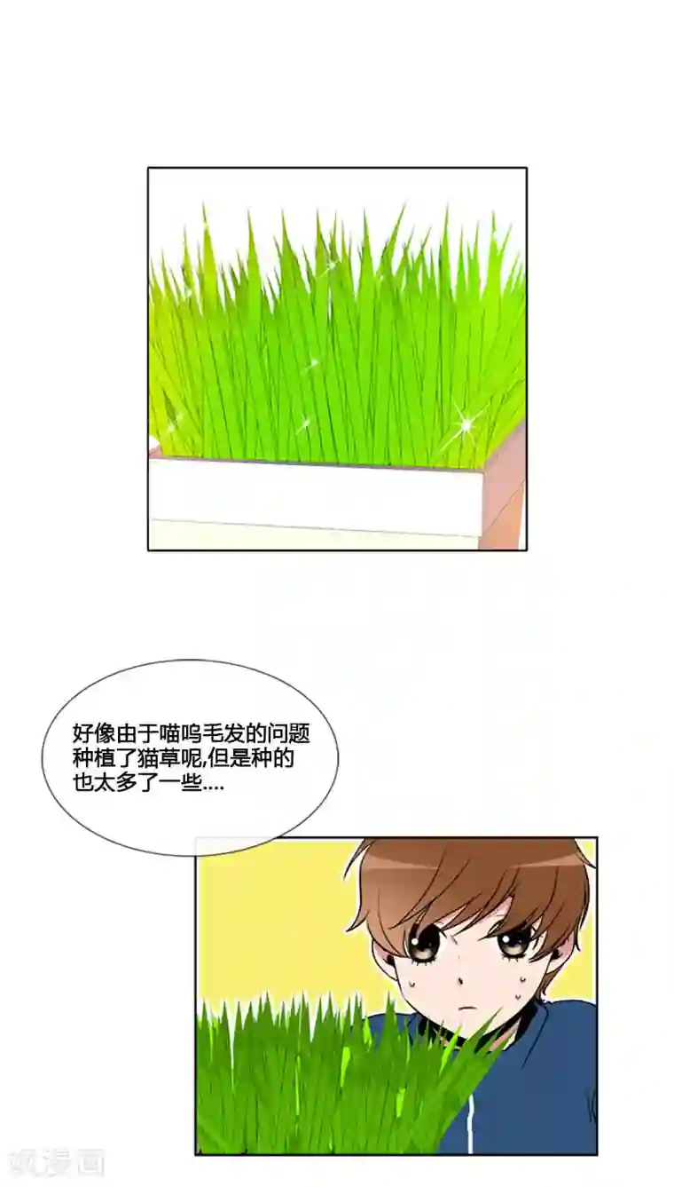 ICE-Cold要员的捡猫事件第82话