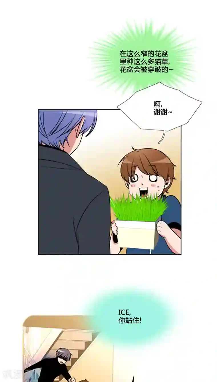 ICE-Cold要员的捡猫事件第82话