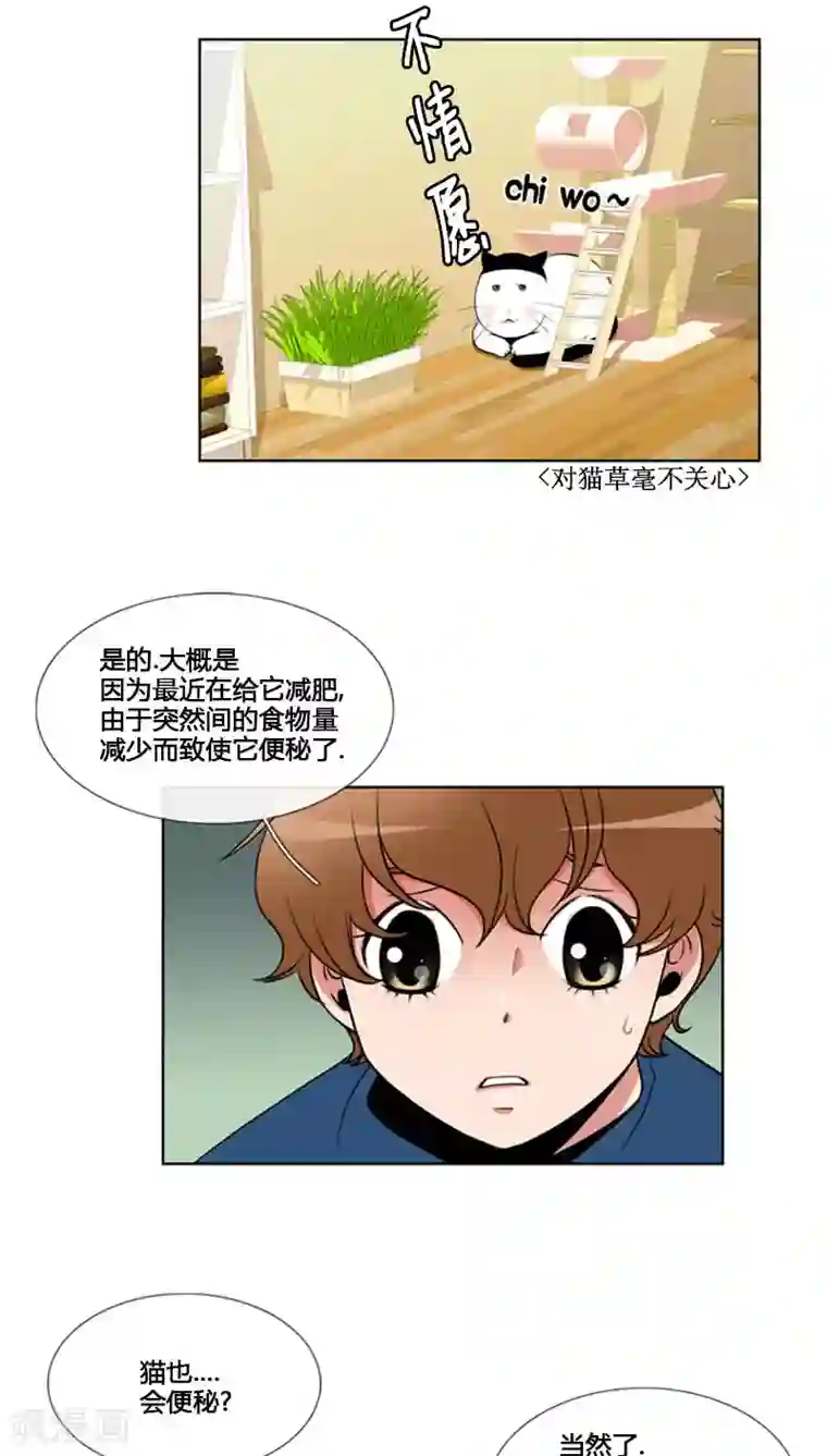 ICE-Cold要员的捡猫事件第82话