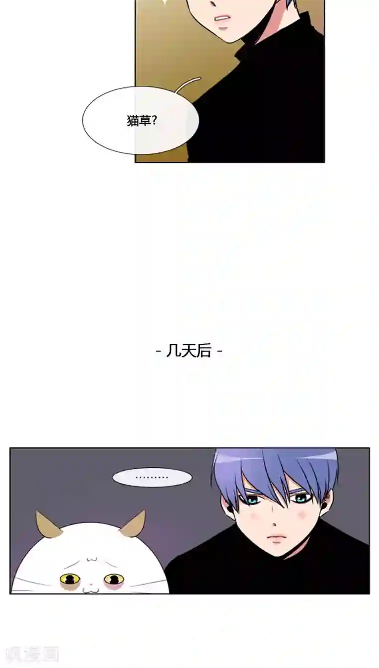 ICE-Cold要员的捡猫事件第82话