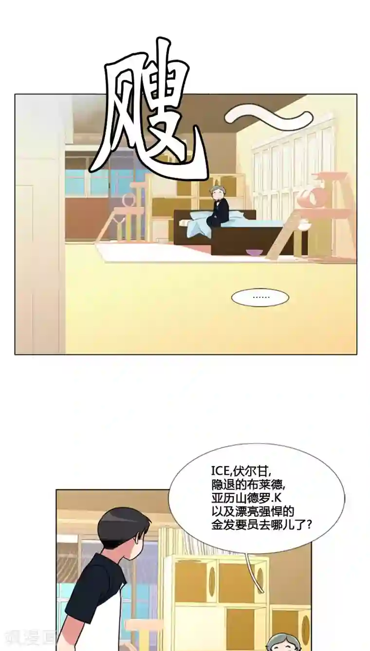 ICE-Cold要员的捡猫事件第82话