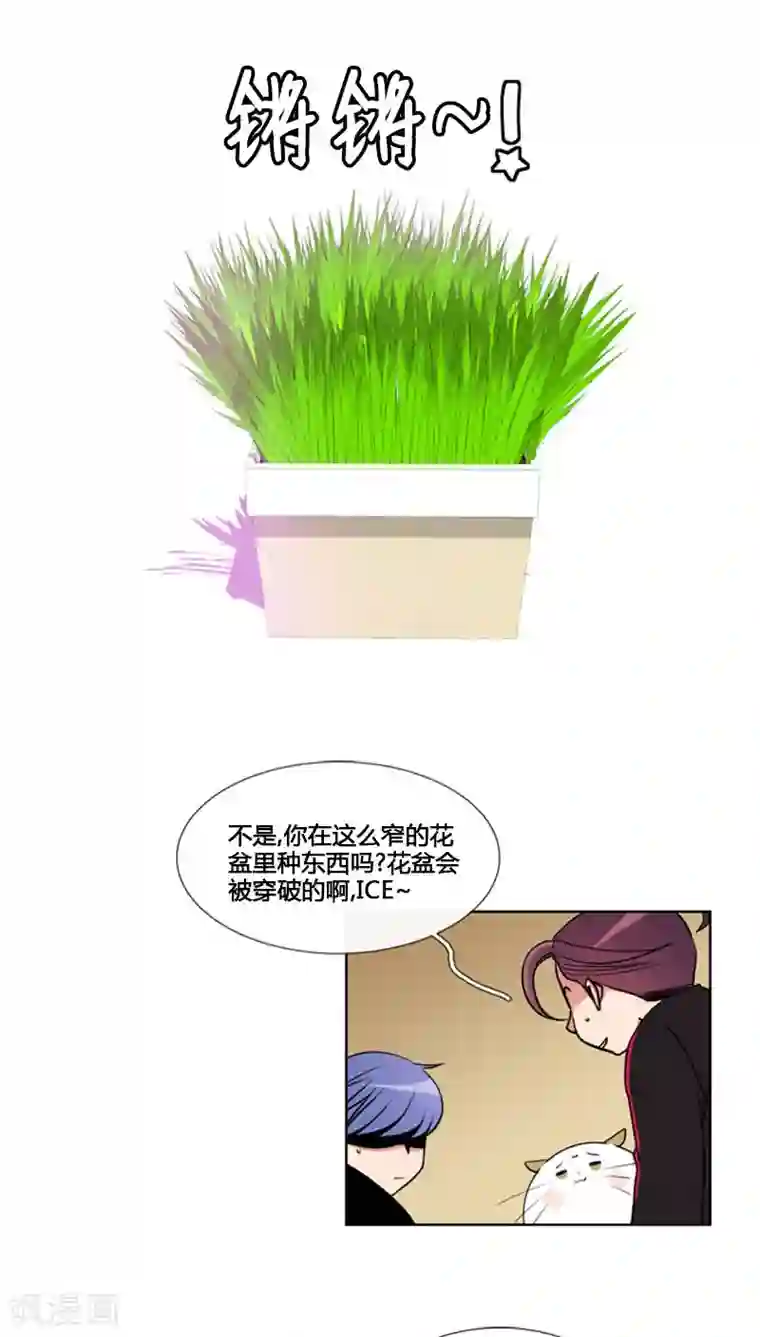 ICE-Cold要员的捡猫事件第82话