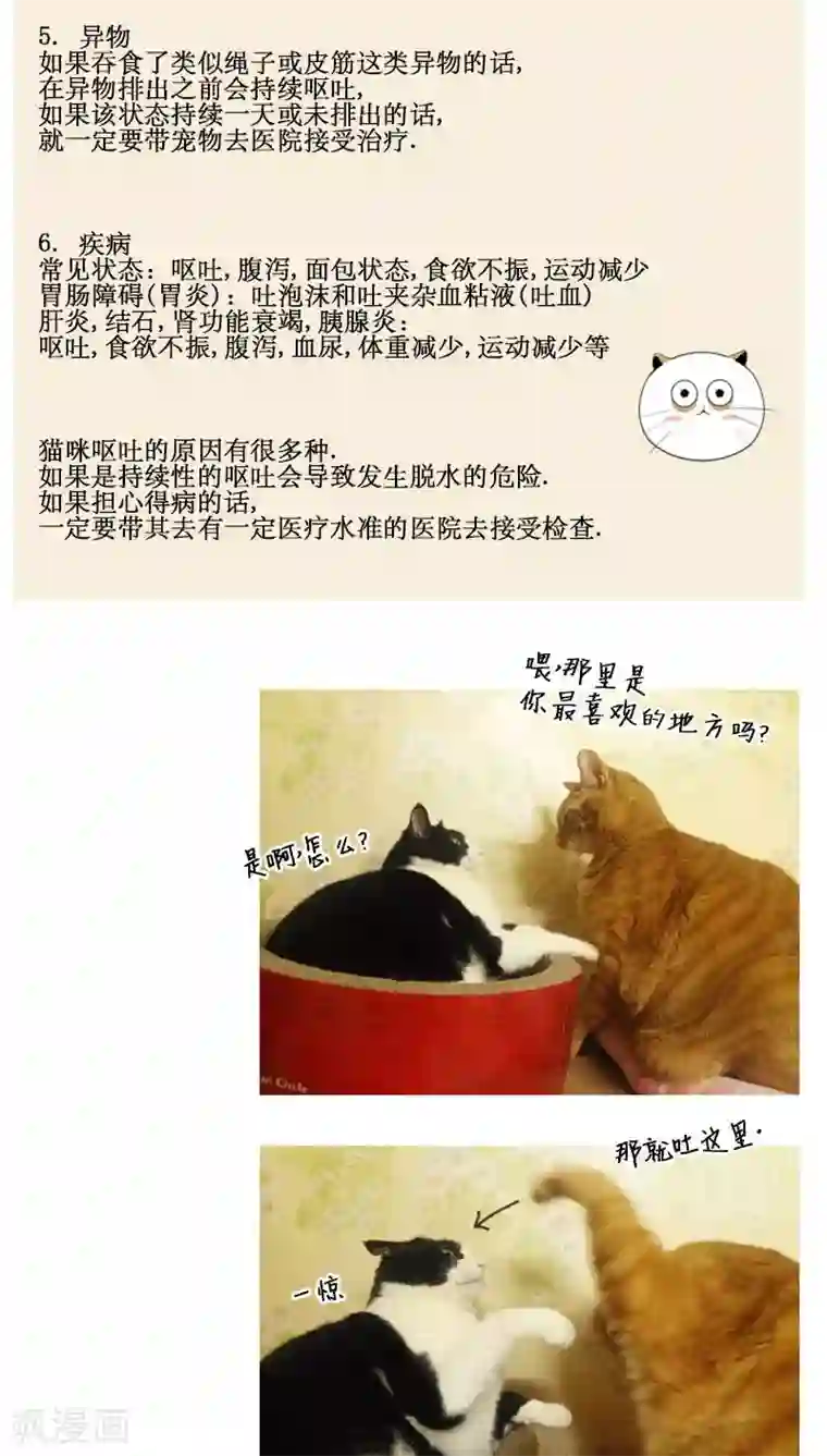 ICE-Cold要员的捡猫事件第82话