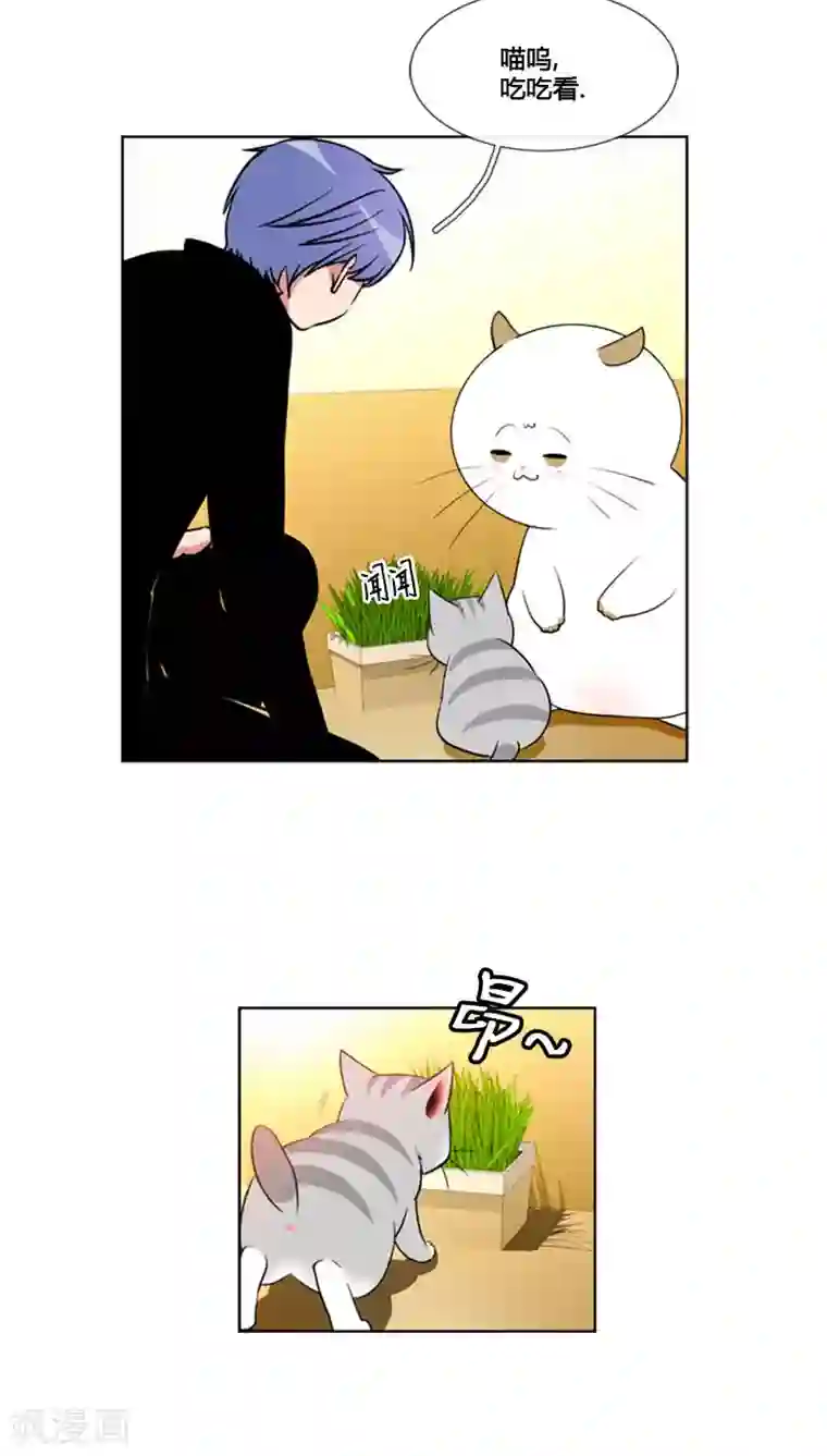 ICE-Cold要员的捡猫事件第82话