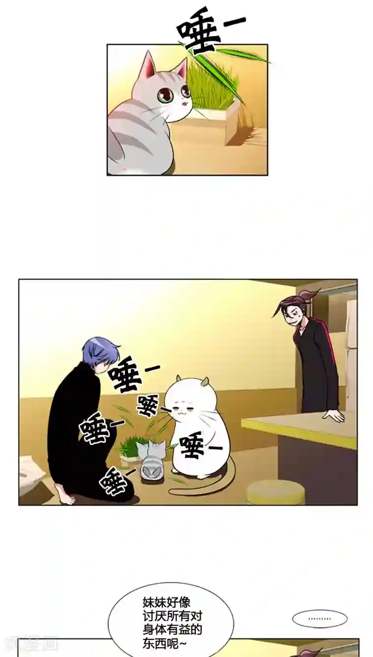 ICE-Cold要员的捡猫事件第82话