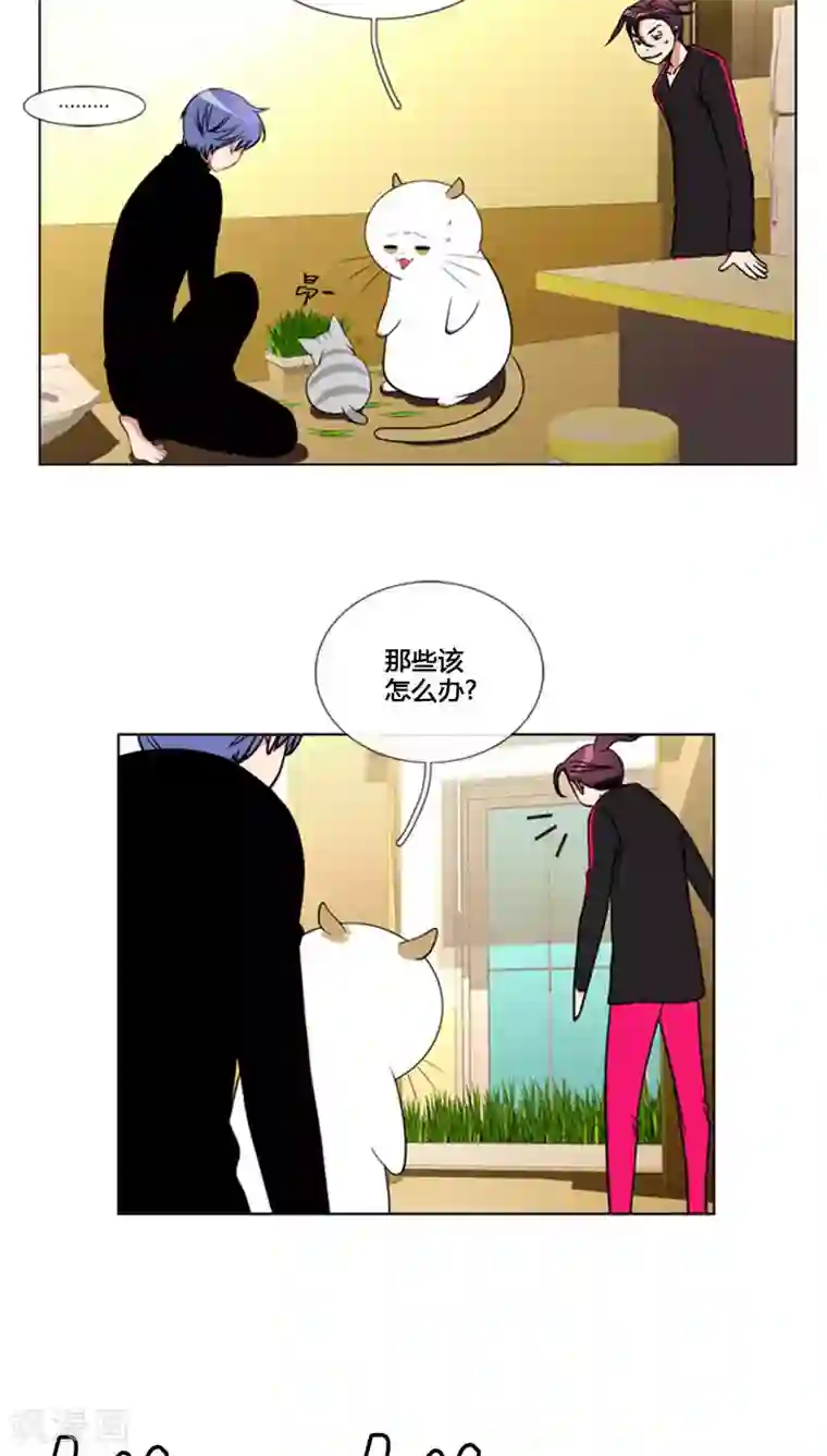 ICE-Cold要员的捡猫事件第82话