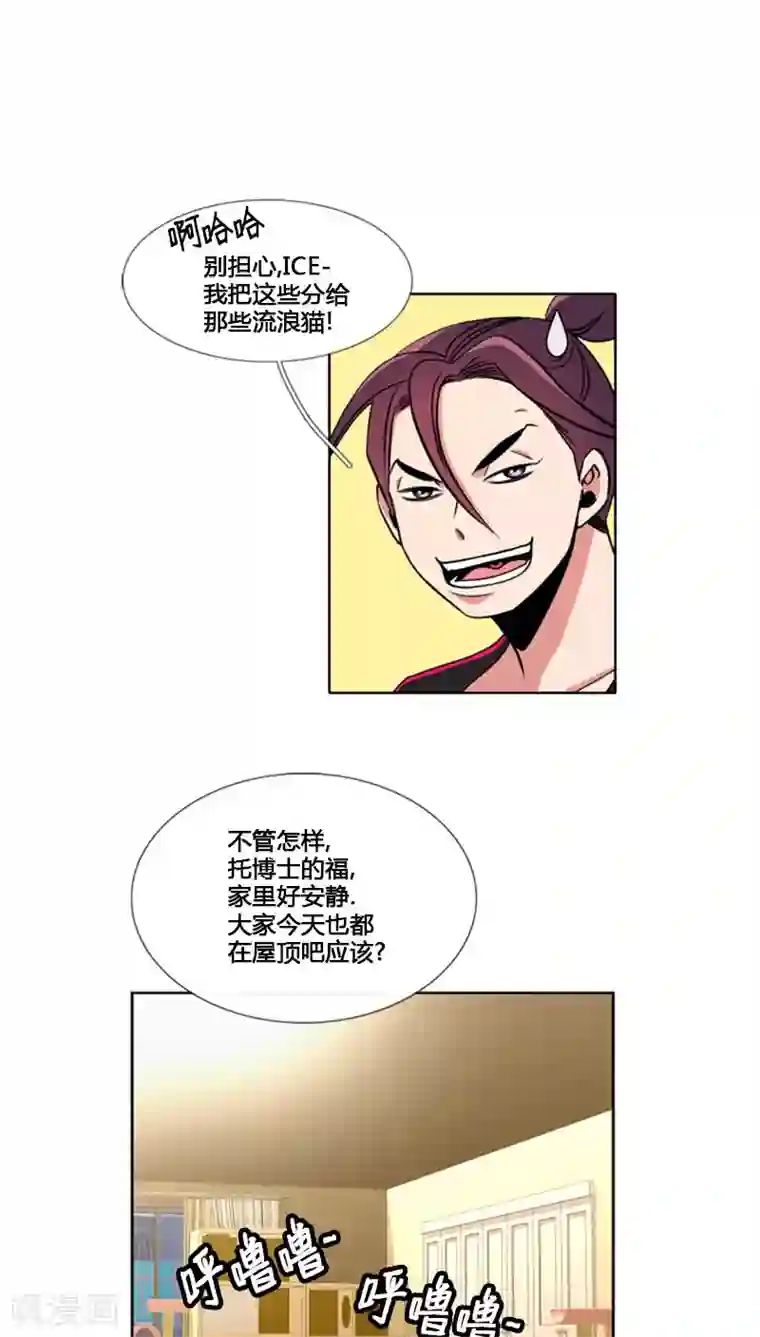 ICE-Cold要员的捡猫事件第82话