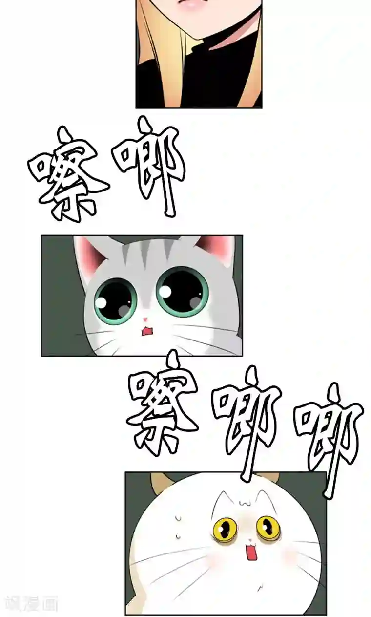 ICE-Cold要员的捡猫事件第83话