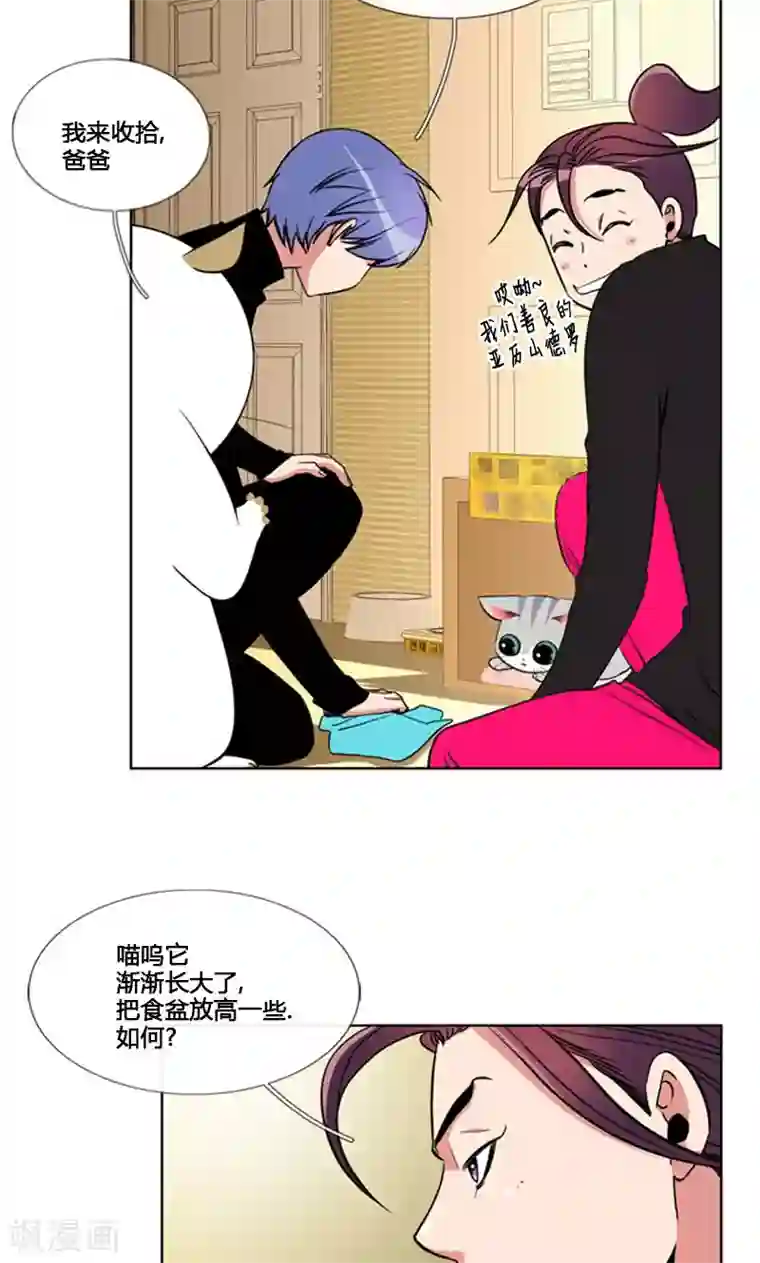 ICE-Cold要员的捡猫事件第83话