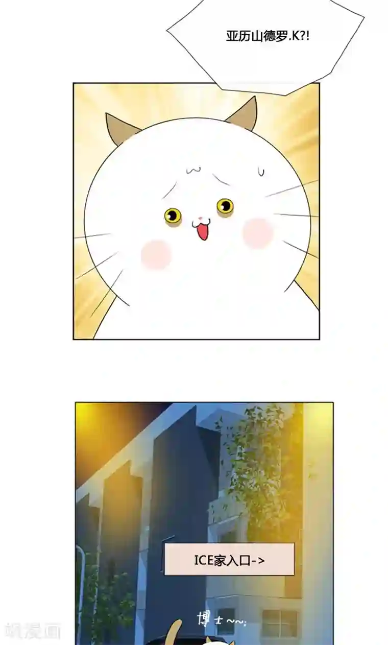 ICE-Cold要员的捡猫事件第83话