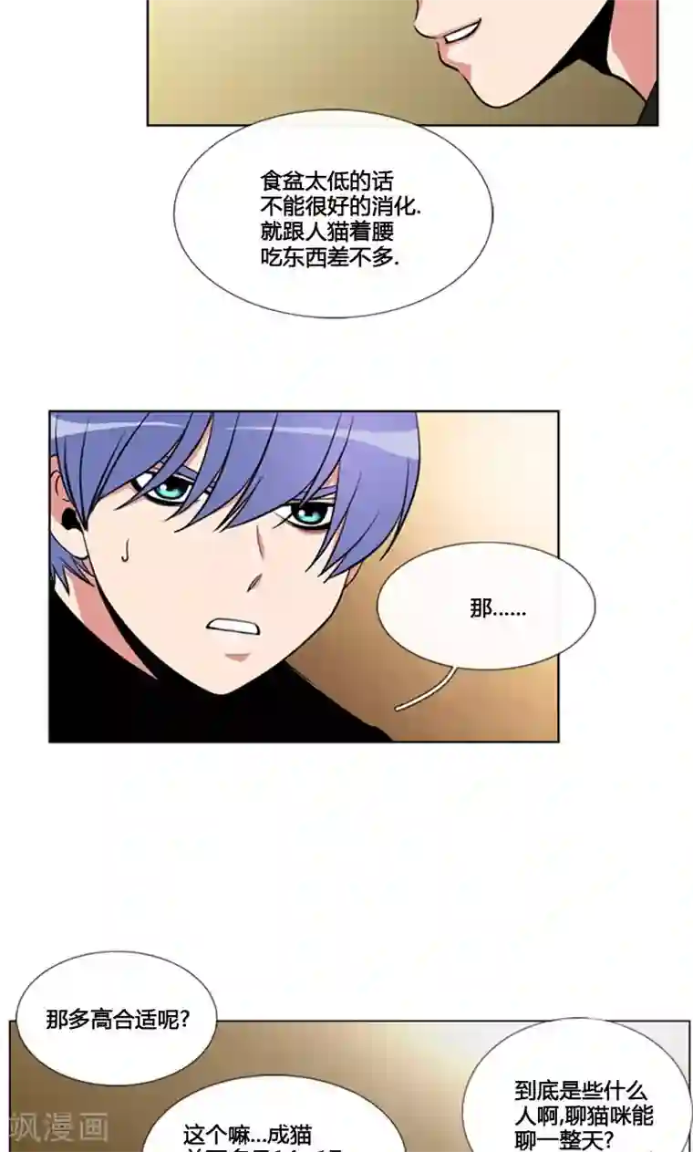 ICE-Cold要员的捡猫事件第83话