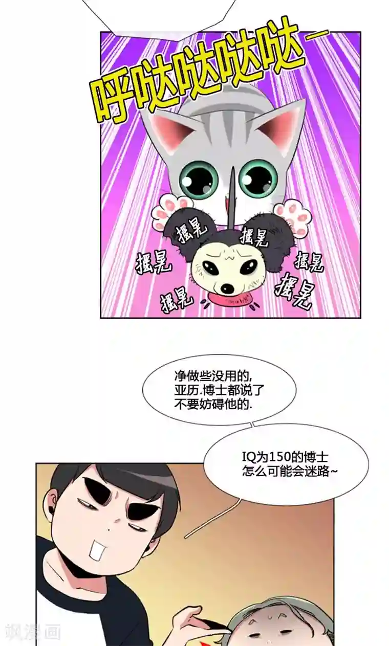 ICE-Cold要员的捡猫事件第83话