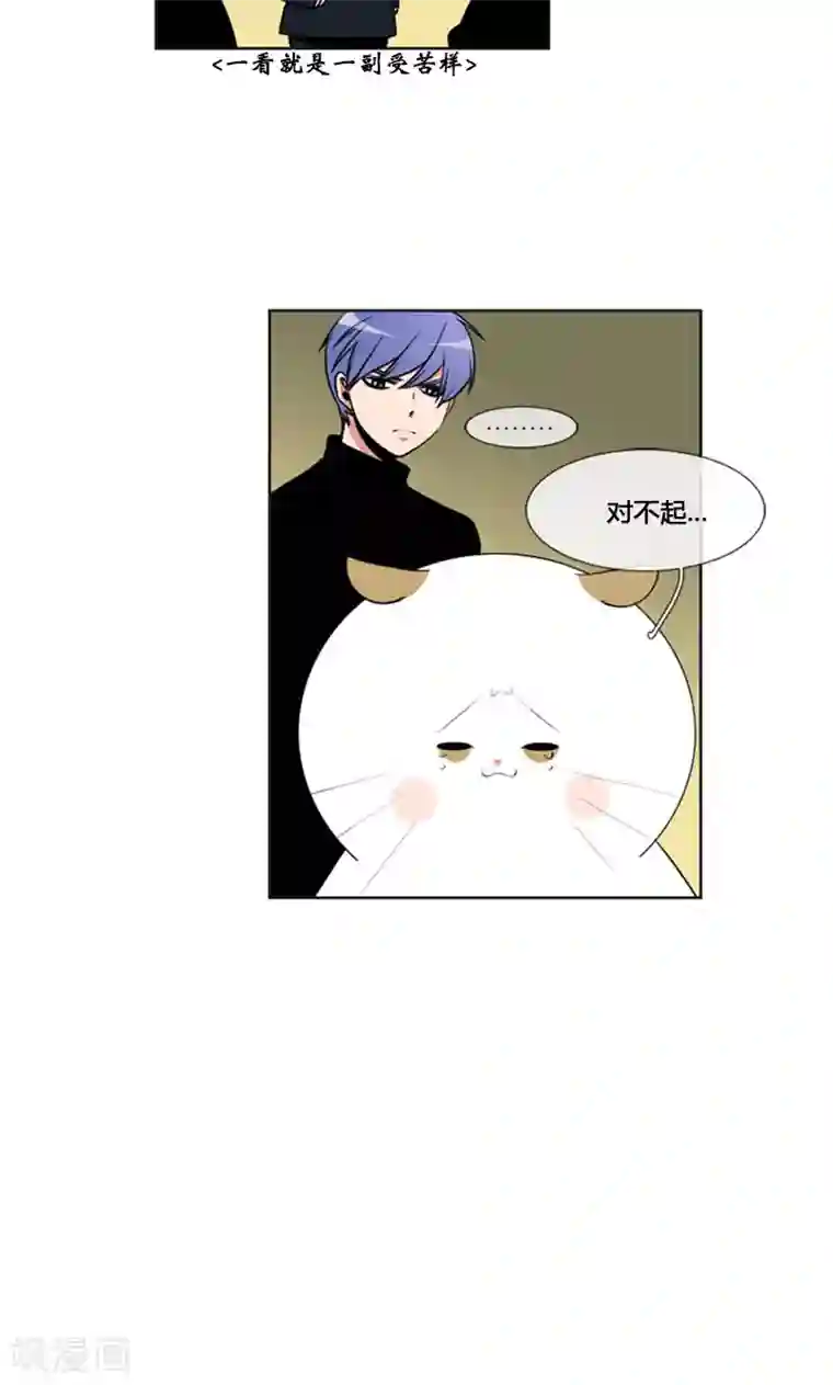 ICE-Cold要员的捡猫事件第83话