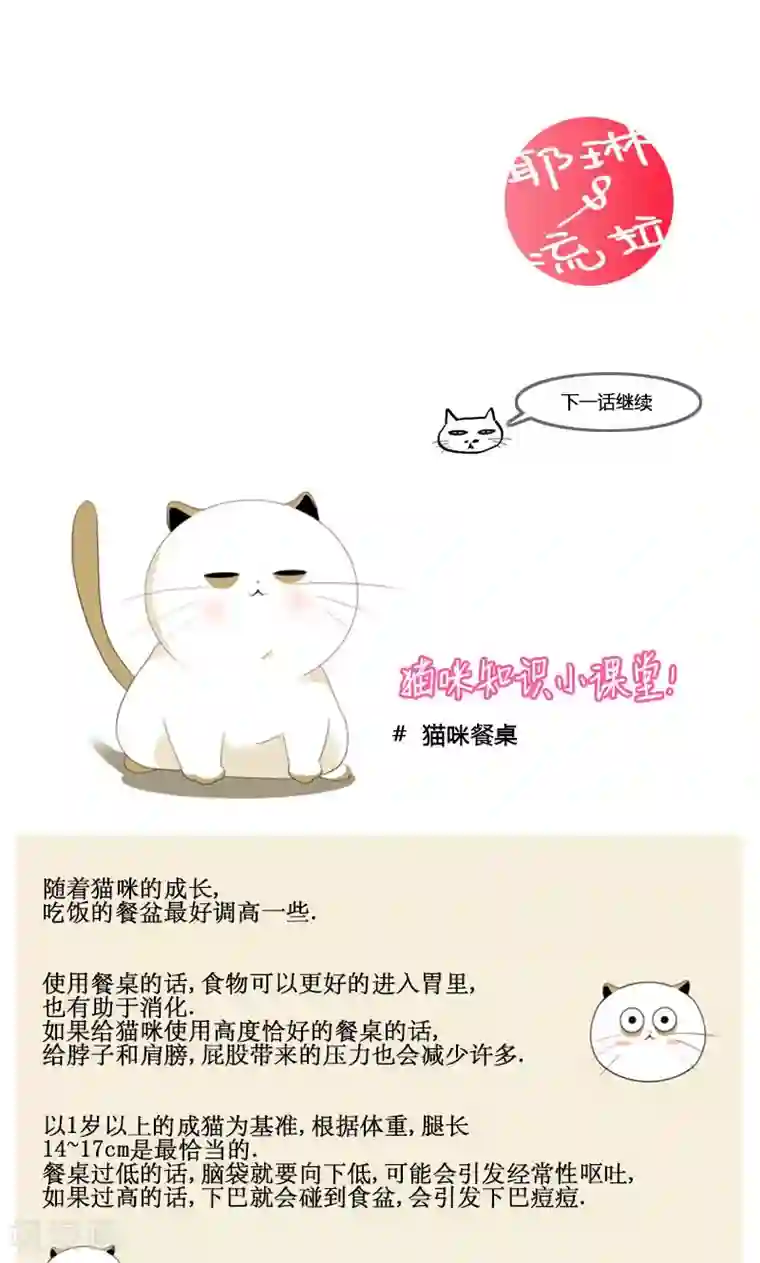 ICE-Cold要员的捡猫事件第83话