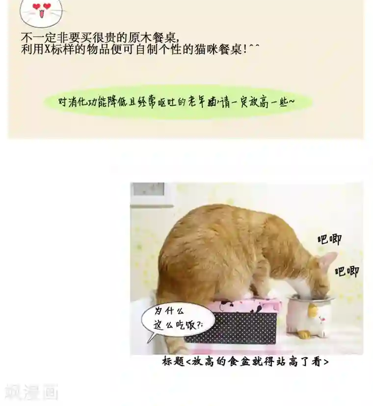 ICE-Cold要员的捡猫事件第83话