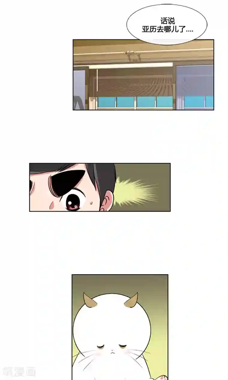 ICE-Cold要员的捡猫事件第84话