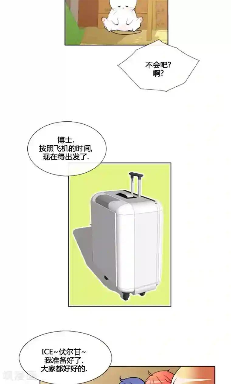 ICE-Cold要员的捡猫事件第84话