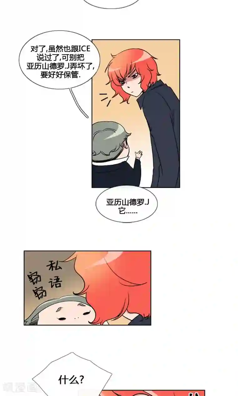 ICE-Cold要员的捡猫事件第84话
