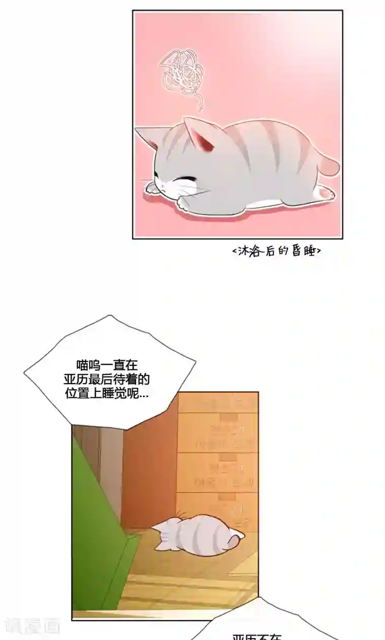 ICE-Cold要员的捡猫事件第84话