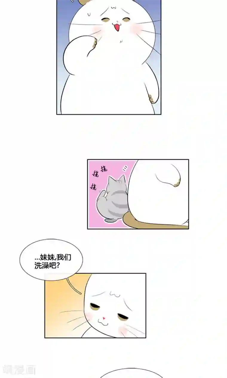 ICE-Cold要员的捡猫事件第84话