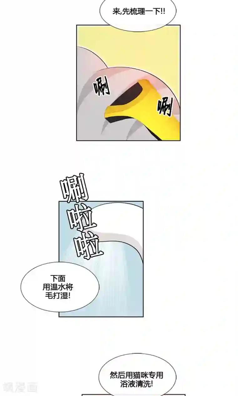 ICE-Cold要员的捡猫事件第84话
