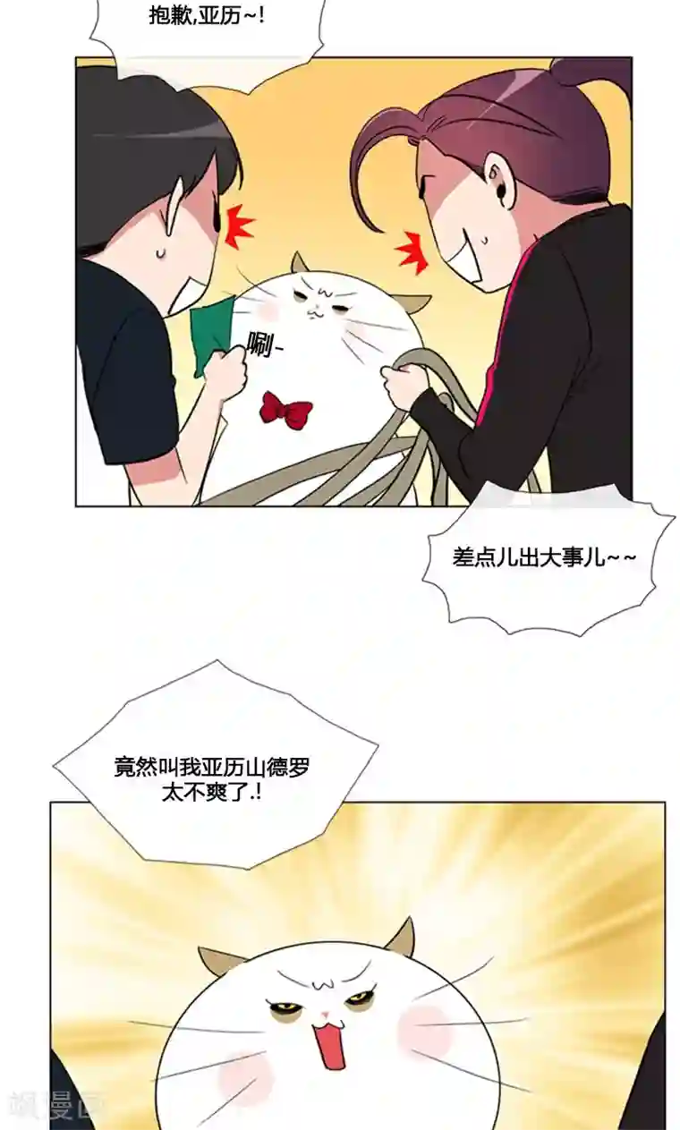 ICE-Cold要员的捡猫事件第84话