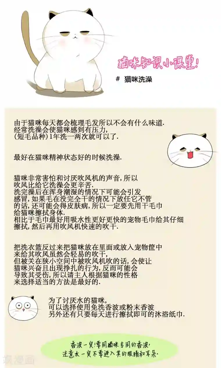 ICE-Cold要员的捡猫事件第84话