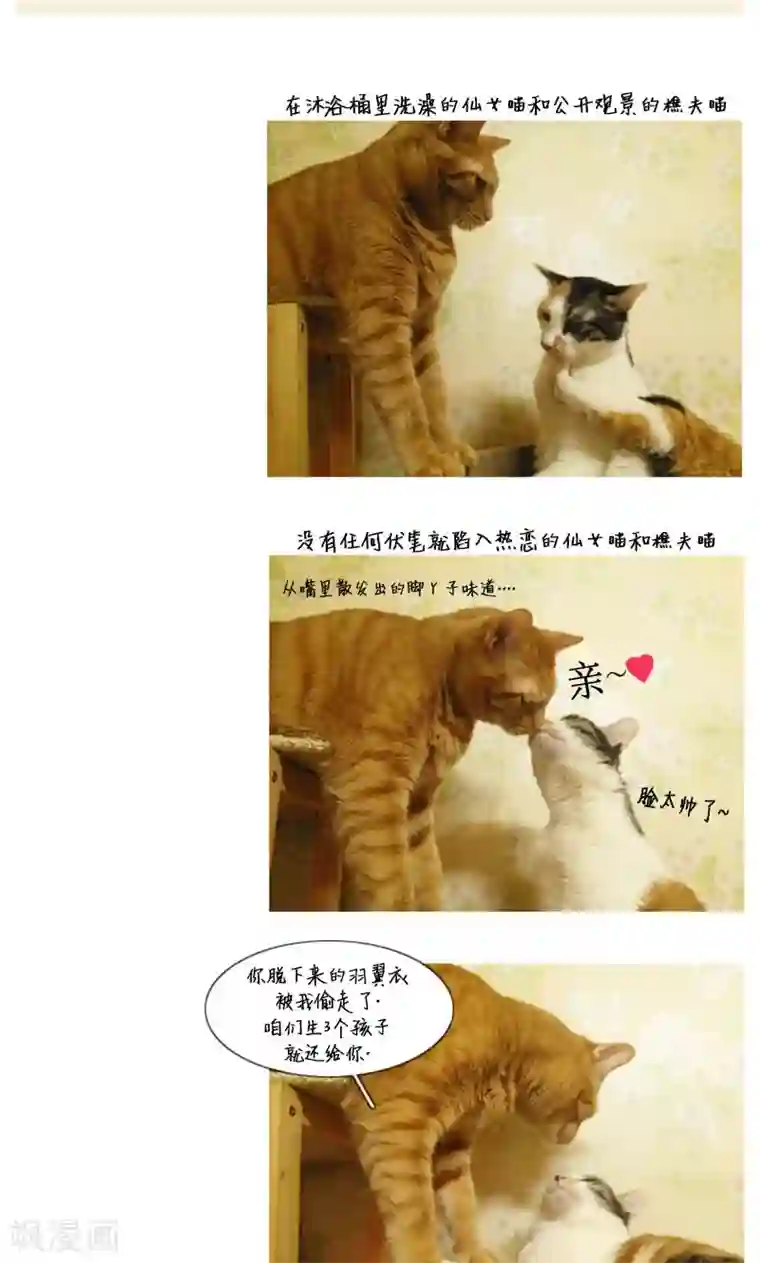ICE-Cold要员的捡猫事件第84话