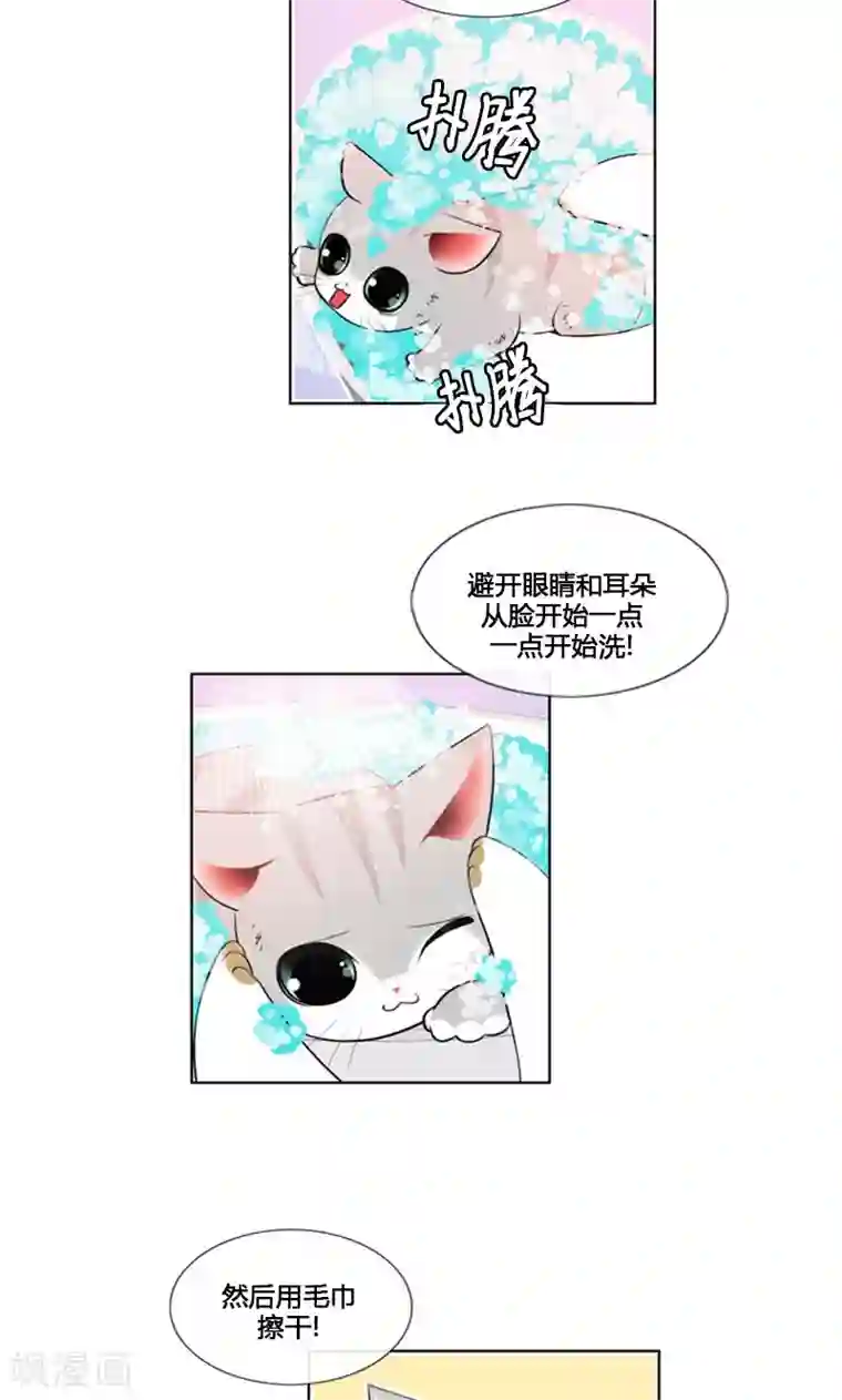 ICE-Cold要员的捡猫事件第84话