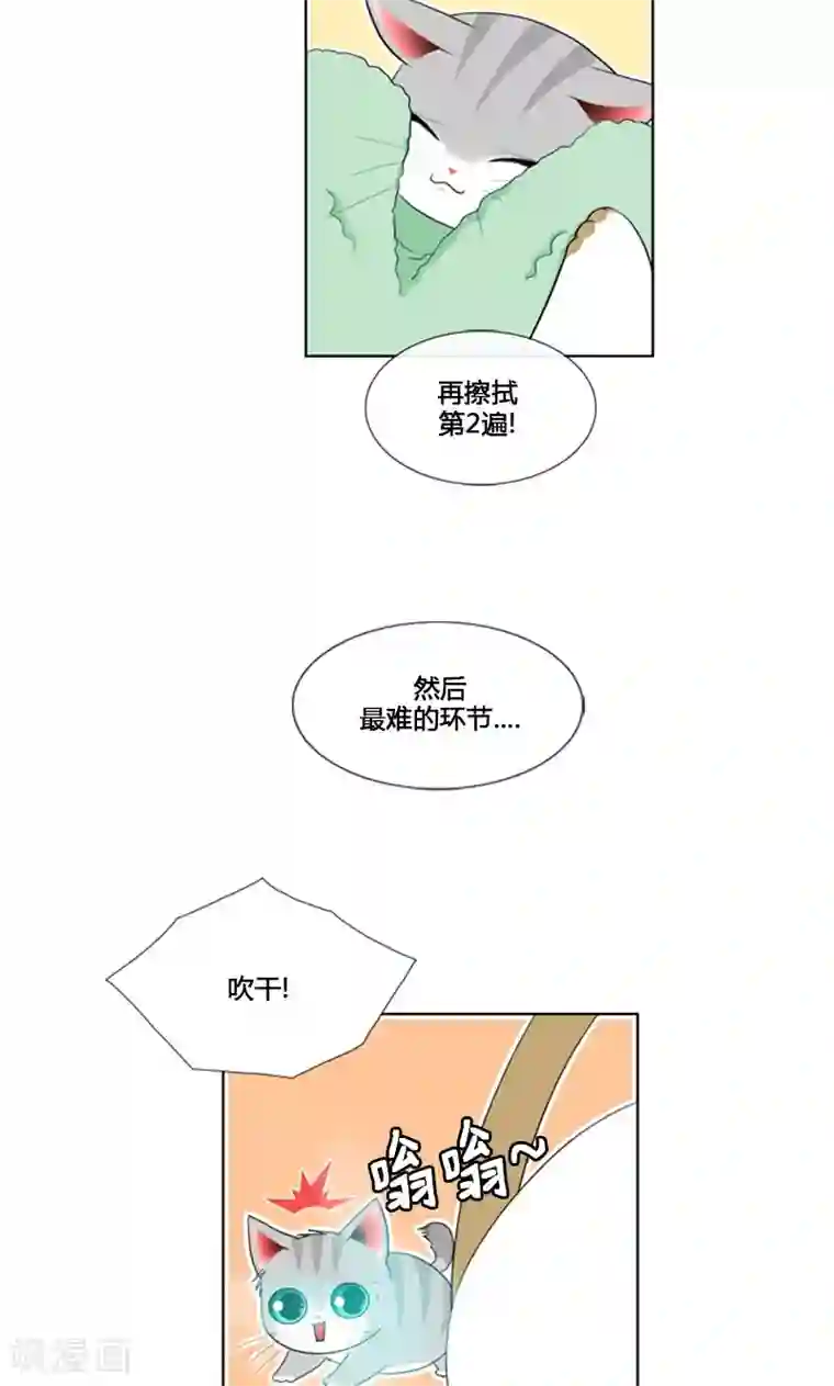 ICE-Cold要员的捡猫事件第84话