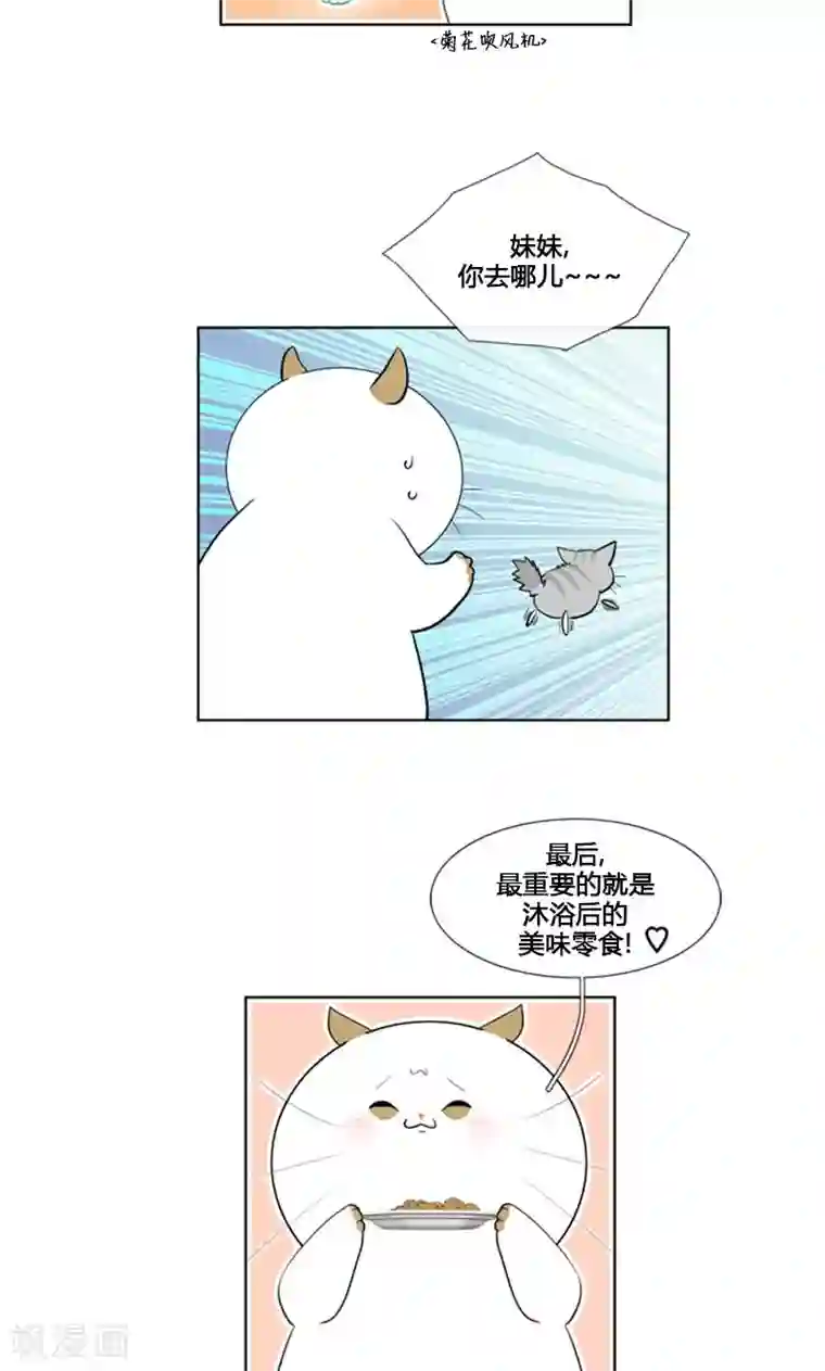 ICE-Cold要员的捡猫事件第84话