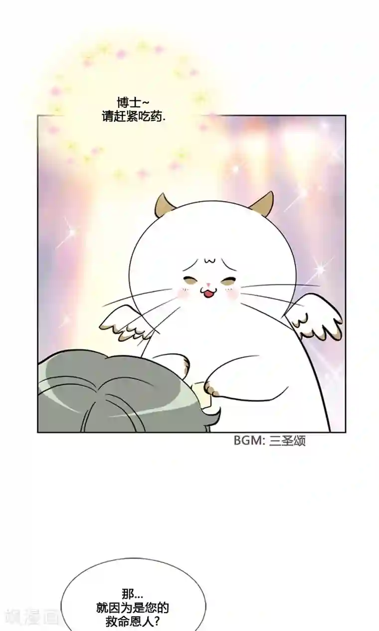 ICE-Cold要员的捡猫事件第85话