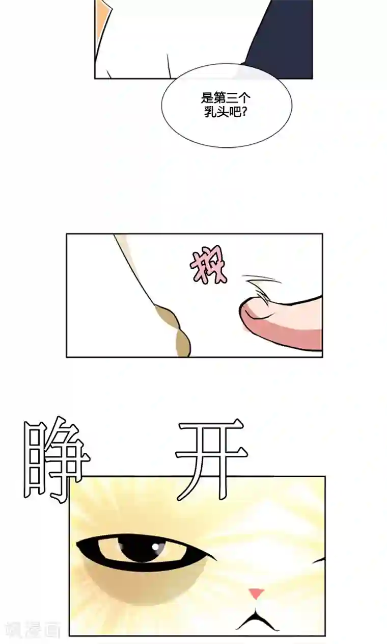 ICE-Cold要员的捡猫事件第85话