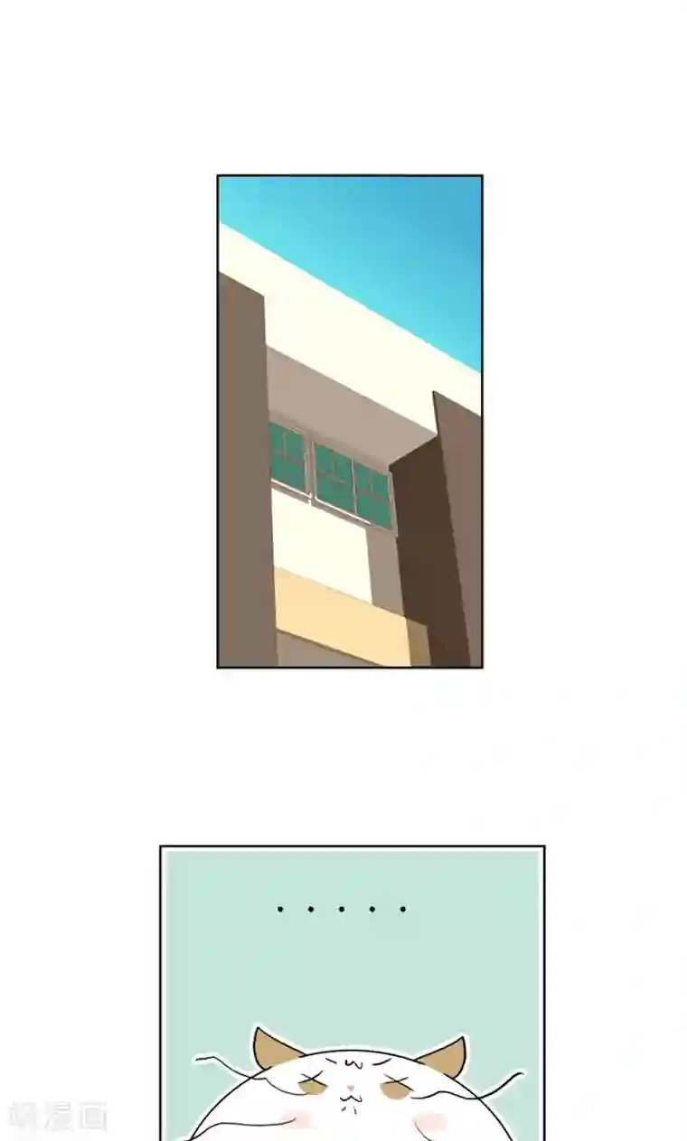 ICE-Cold要员的捡猫事件第85话