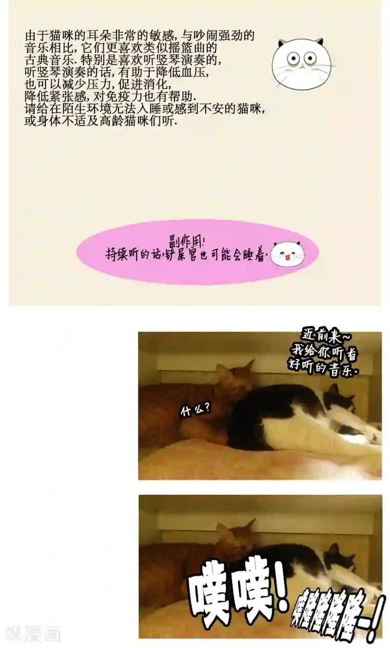 ICE-Cold要员的捡猫事件第85话